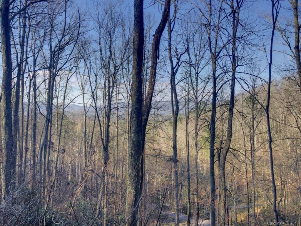 9999 Joe Bailey Road Fletcher, NC 28732 - Photo 2 of 6 Gallery Image 2