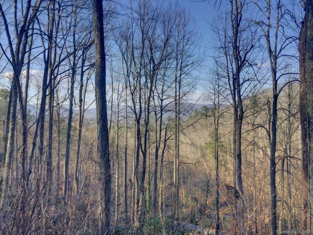 9999 Joe Bailey Road Fletcher, NC 28732 - Photo 5 of 6 Gallery Image 5