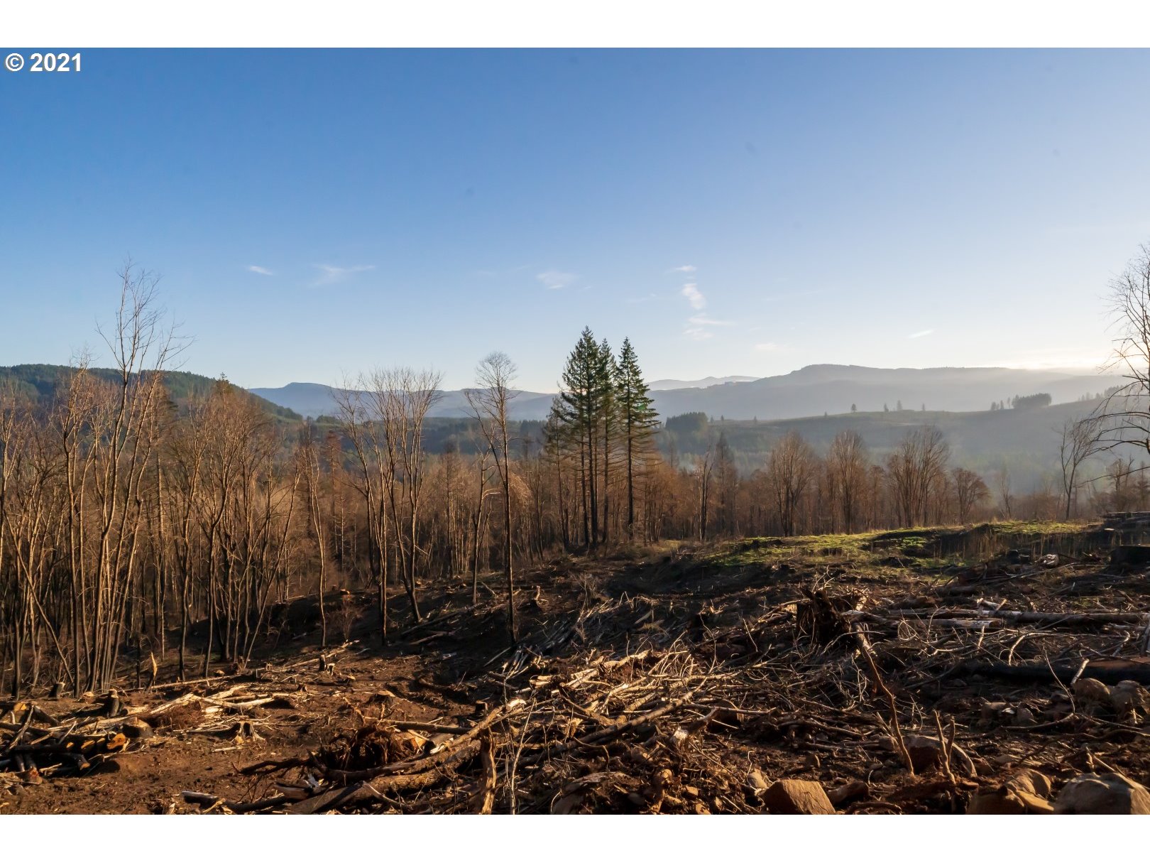 10794 Southeast Kubin Road Lyons, OR 97358 - Photo 12 of 20 Gallery Image 12