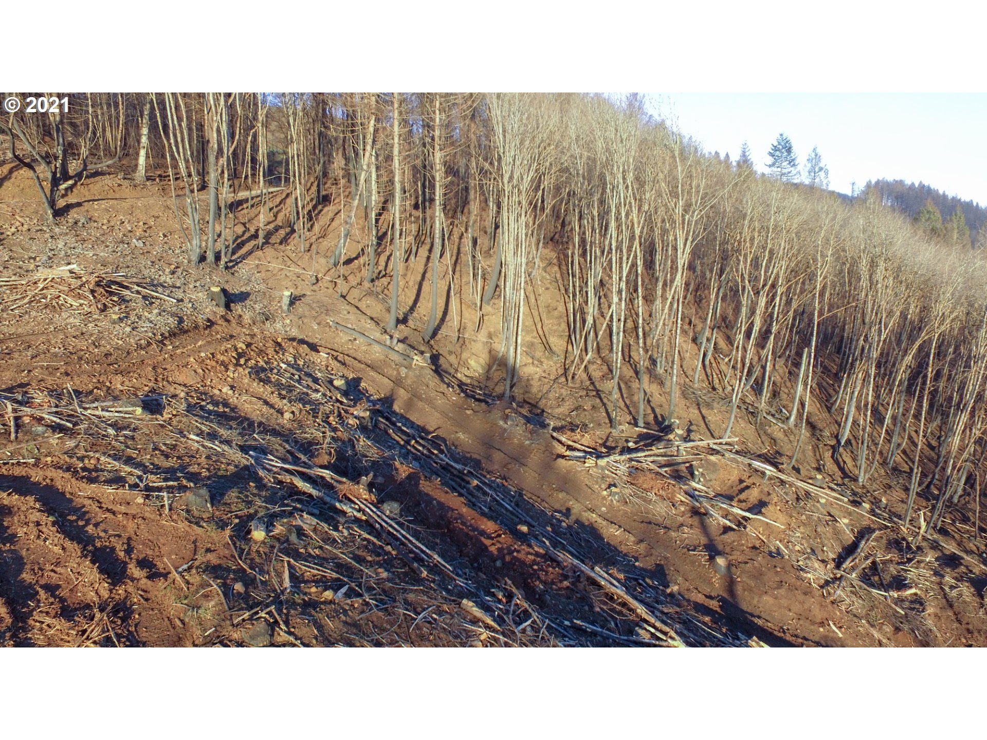 10794 Southeast Kubin Road Lyons, OR 97358 - Photo 19 of 20 Gallery Image 19