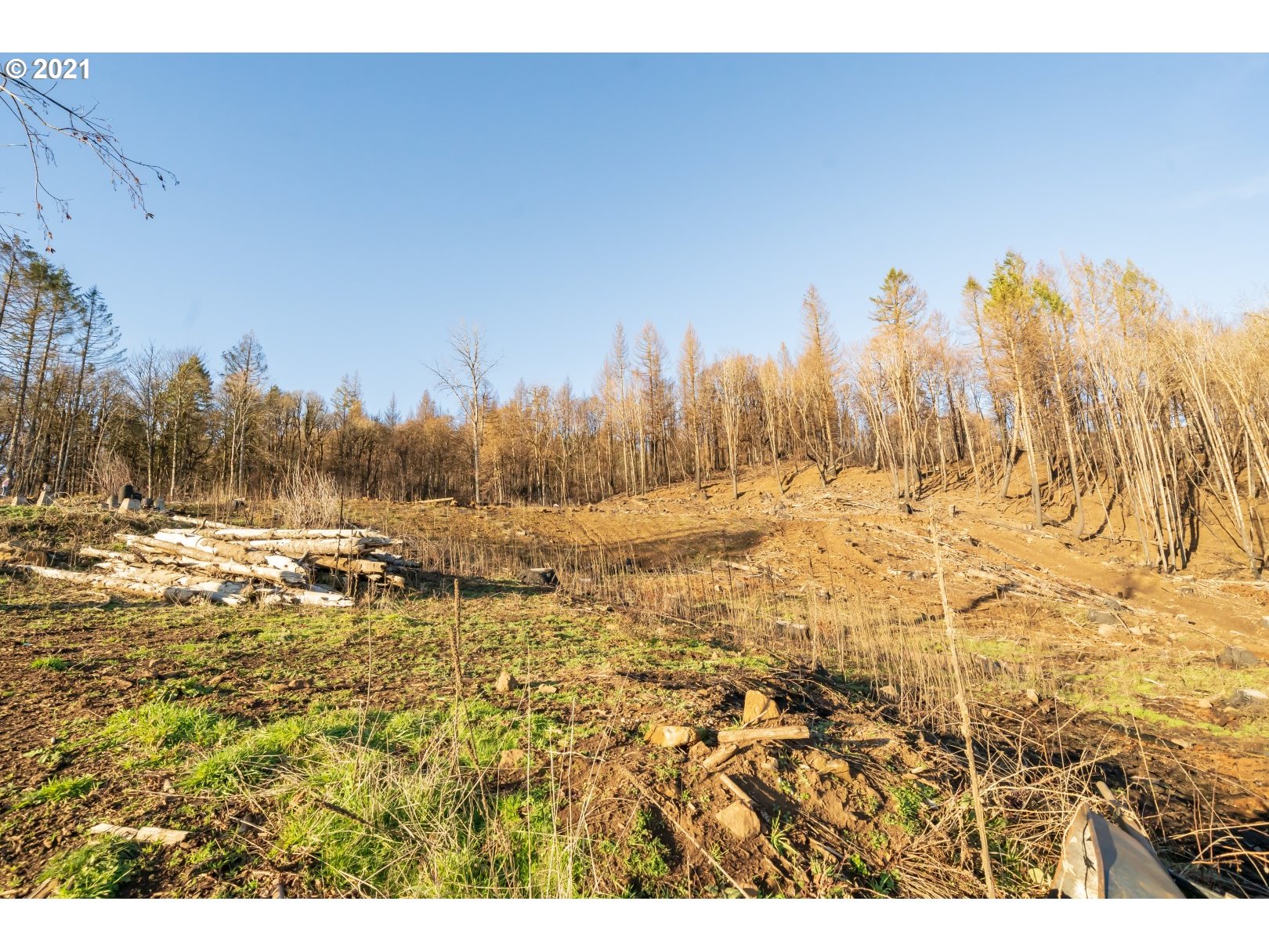 10794 Southeast Kubin Road Lyons, OR 97358 - Photo 7 of 20 Gallery Image 7