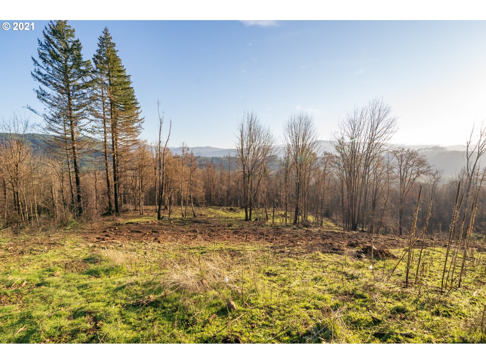 10794 Southeast Kubin Road Lyons, OR 97358 - Photo 9 of 20 Gallery Image 9