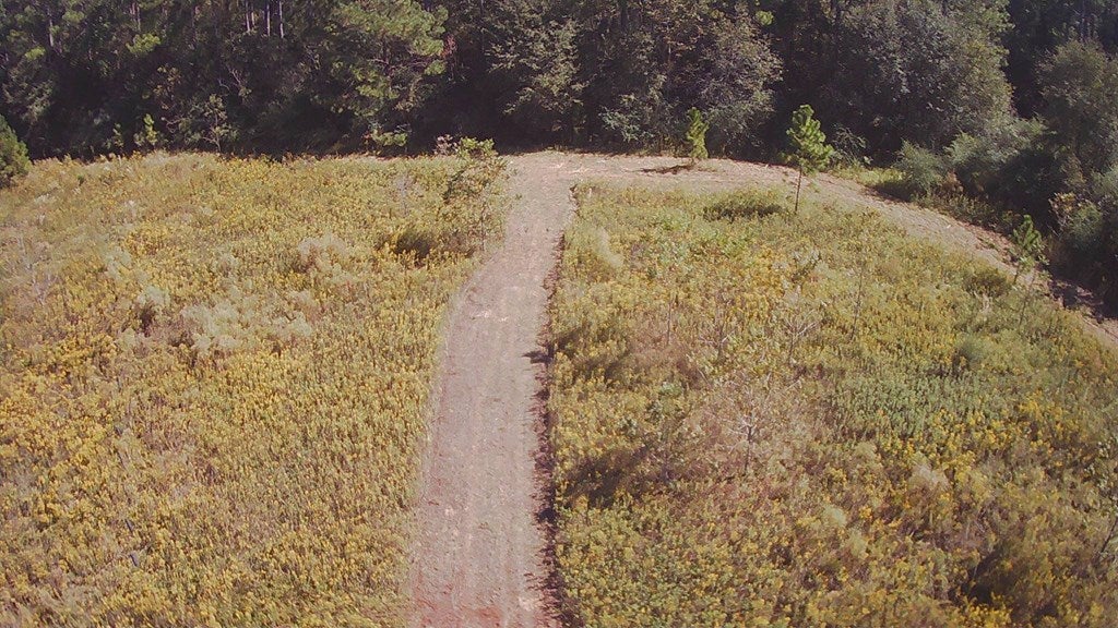 5236 Stewart Road Ochlocknee, GA 31773 - Photo 14 of 19 Gallery Image 14