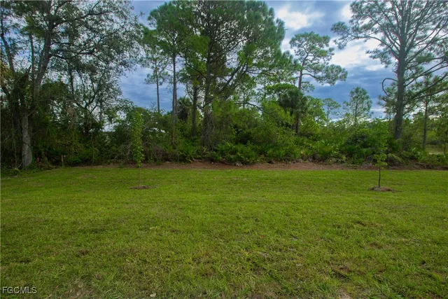 a view of field with tall trees