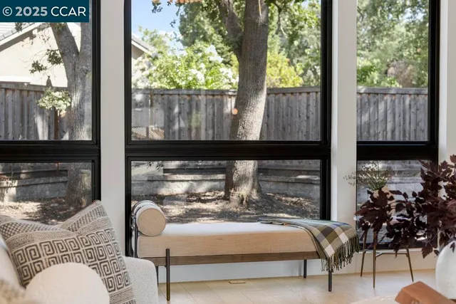 a living room with furniture potted plant and a window