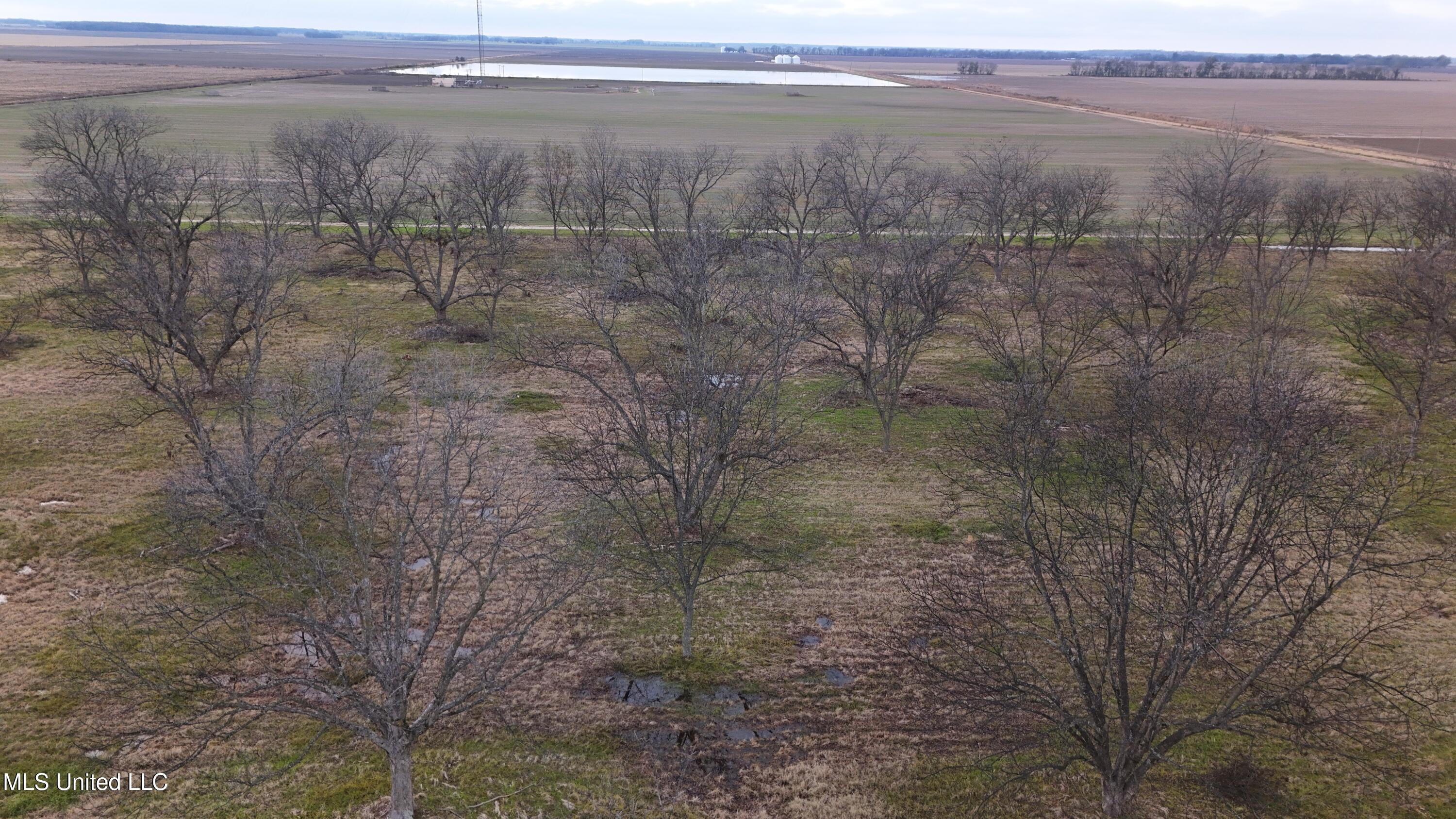 Interstate Road Shaw, MS 38773 - Photo 1 of 14 Bolivar 14.5