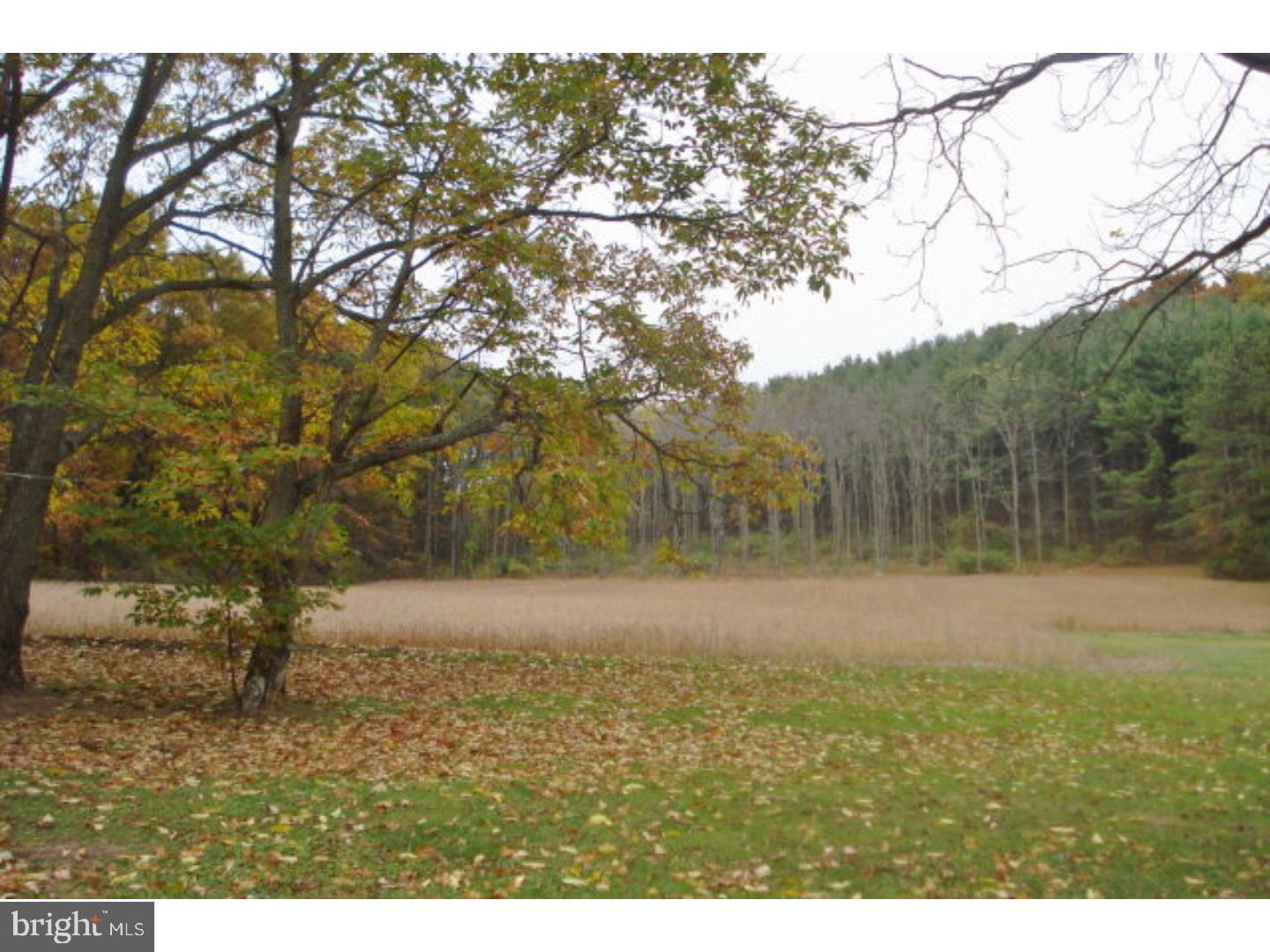 121 Tielman Road Ashland, PA 17921 - Photo 4 of 24