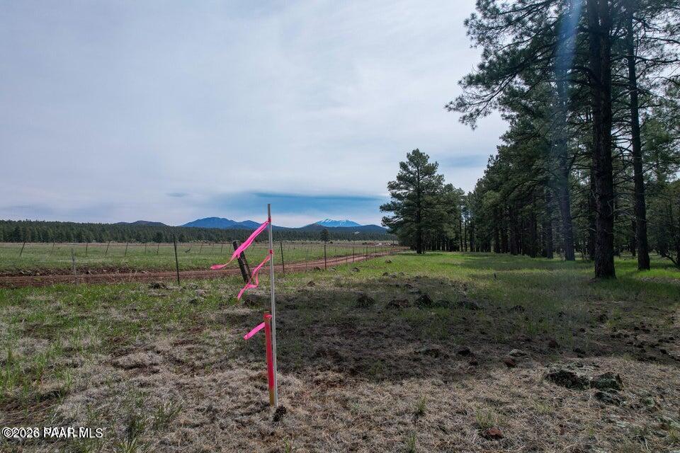 581 Cooper Ranch Road Williams, AZ 86046 - Photo 12 of 14 Image 12