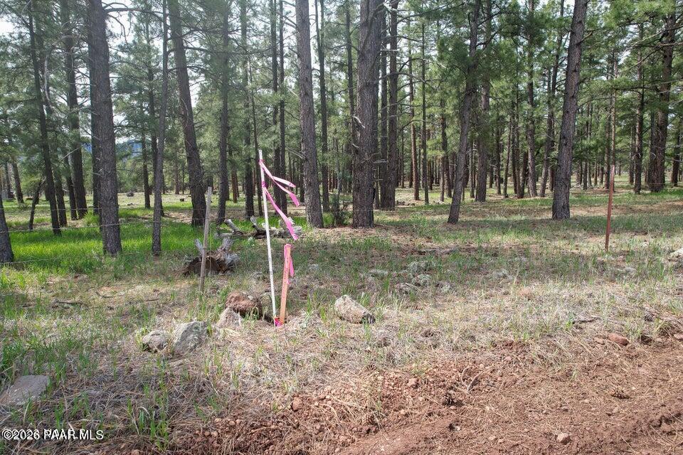 581 Cooper Ranch Road Williams, AZ 86046 - Photo 14 of 14 Image 14
