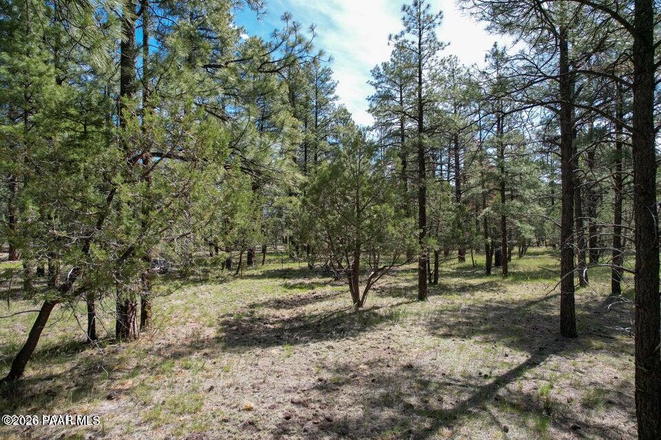581 Cooper Ranch Road Williams, AZ 86046 - Photo 3 of 14 Image 3