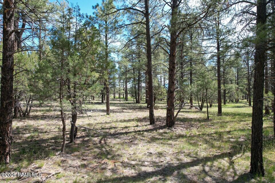581 Cooper Ranch Road Williams, AZ 86046 - Photo 4 of 14 Image 4