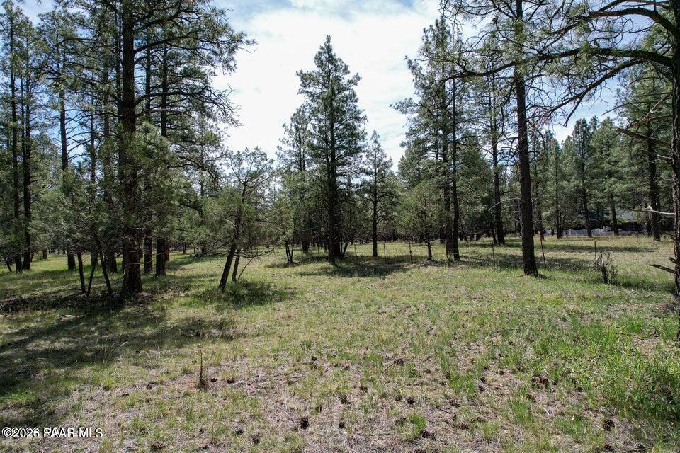 581 Cooper Ranch Road Williams, AZ 86046 - Photo 5 of 14 Image 5