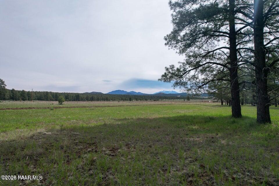 581 Cooper Ranch Road Williams, AZ 86046 - Photo 9 of 14 Image 9