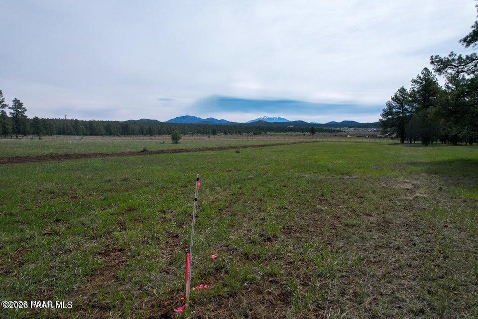 581 Cooper Ranch Road Williams, AZ 86046 - Photo 10 of 14 Image 10