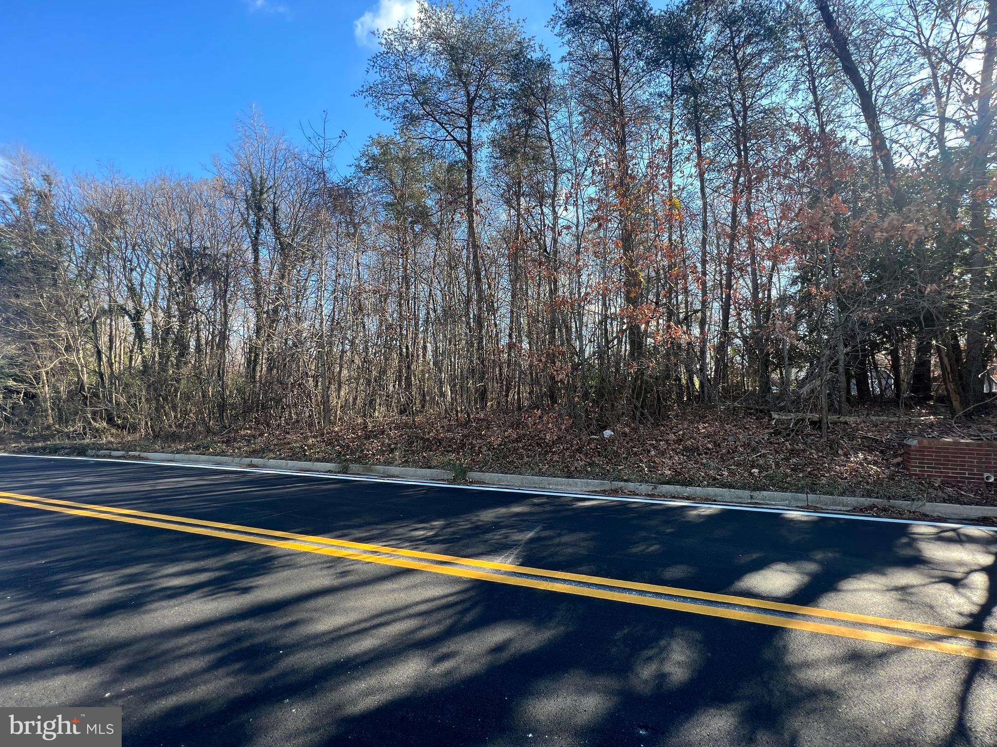 18106 Beech Lane Accokeek, MD 20607 - Photo 2 of 4 a view of outdoor space with trees