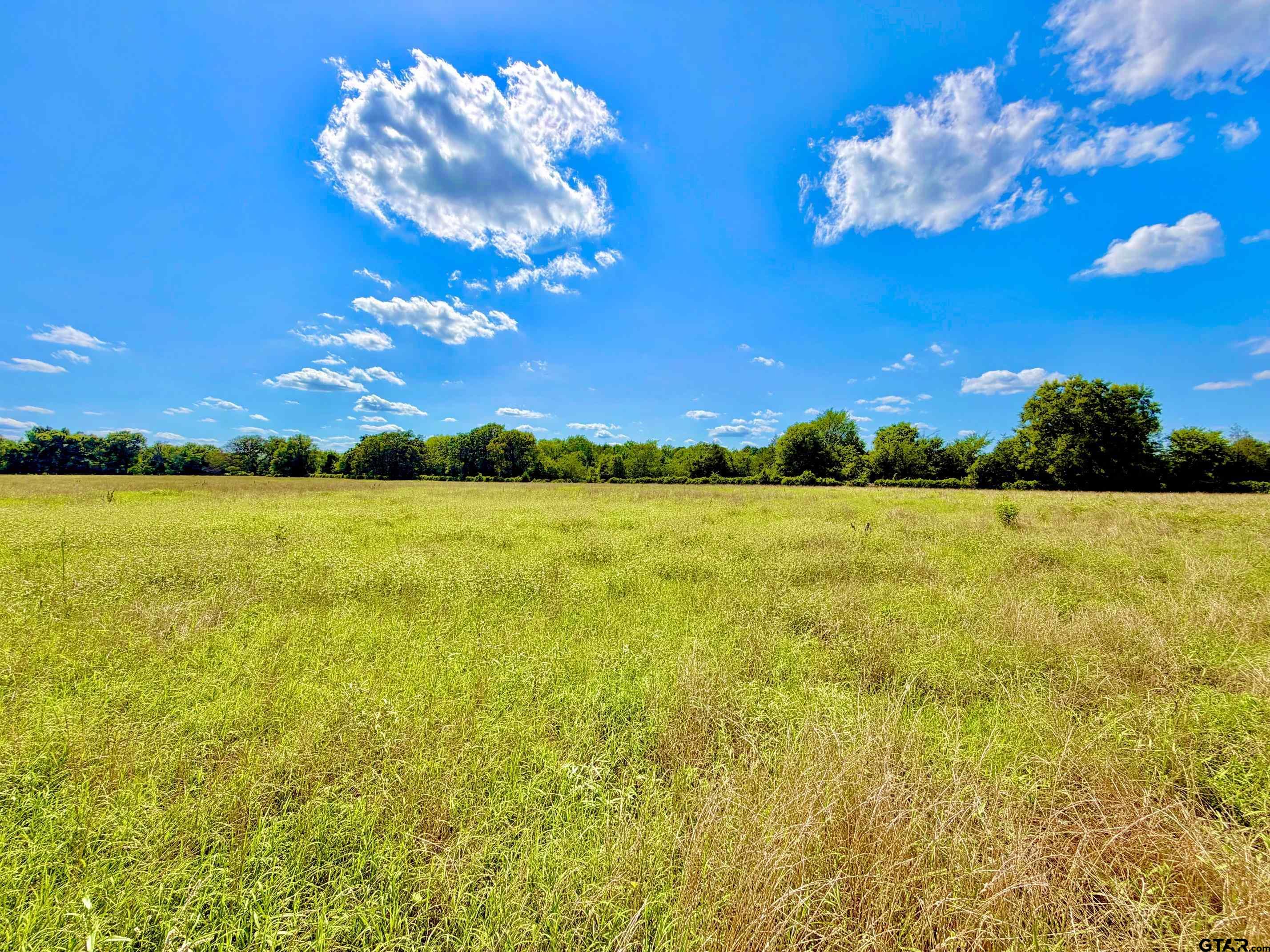 Tbd Cooper Settlement Road Crockett, TX 75835 - Photo 7 of 11