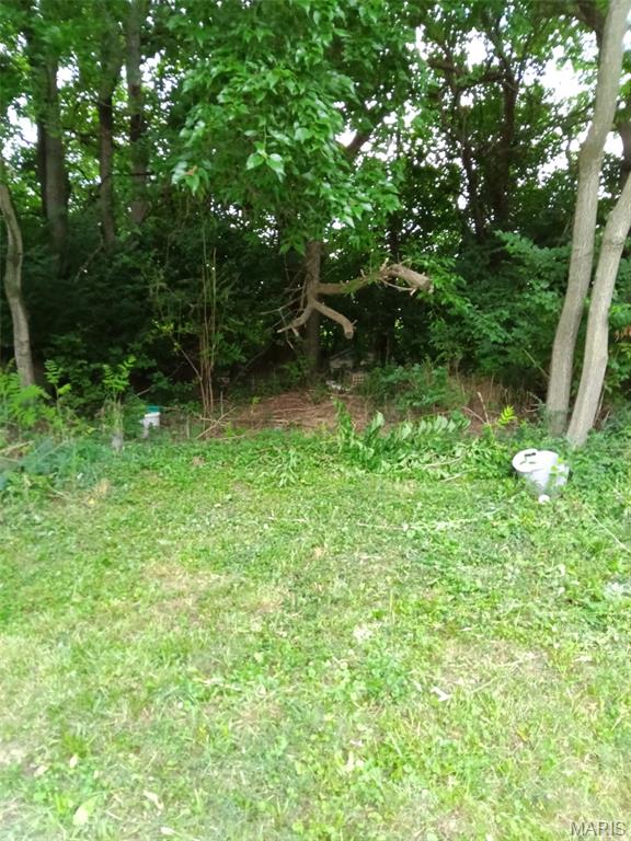 16678 Conrad Road Brighton, IL 62012 - Photo 13 of 39