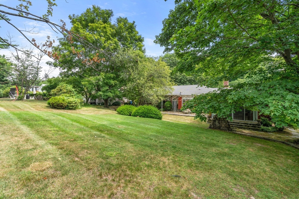 65 Lagrange Street Brookline, MA 02467 - Photo 20 of 39 a view of a garden with lawn chairs and a large tree