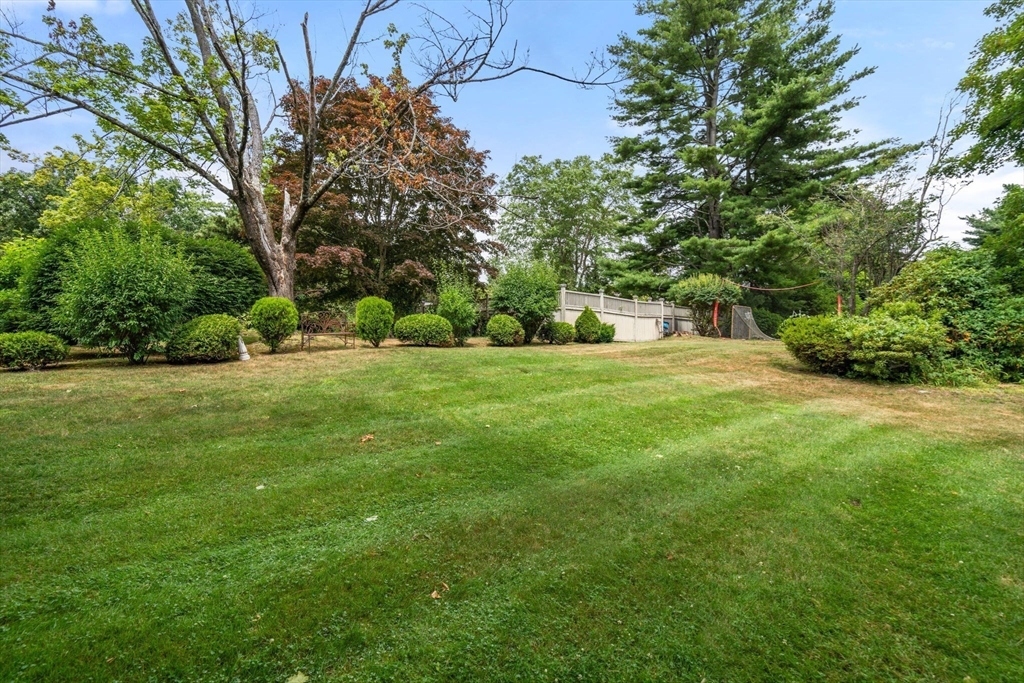 65 Lagrange Street Brookline, MA 02467 - Photo 22 of 39 a view of a trees with a big yard