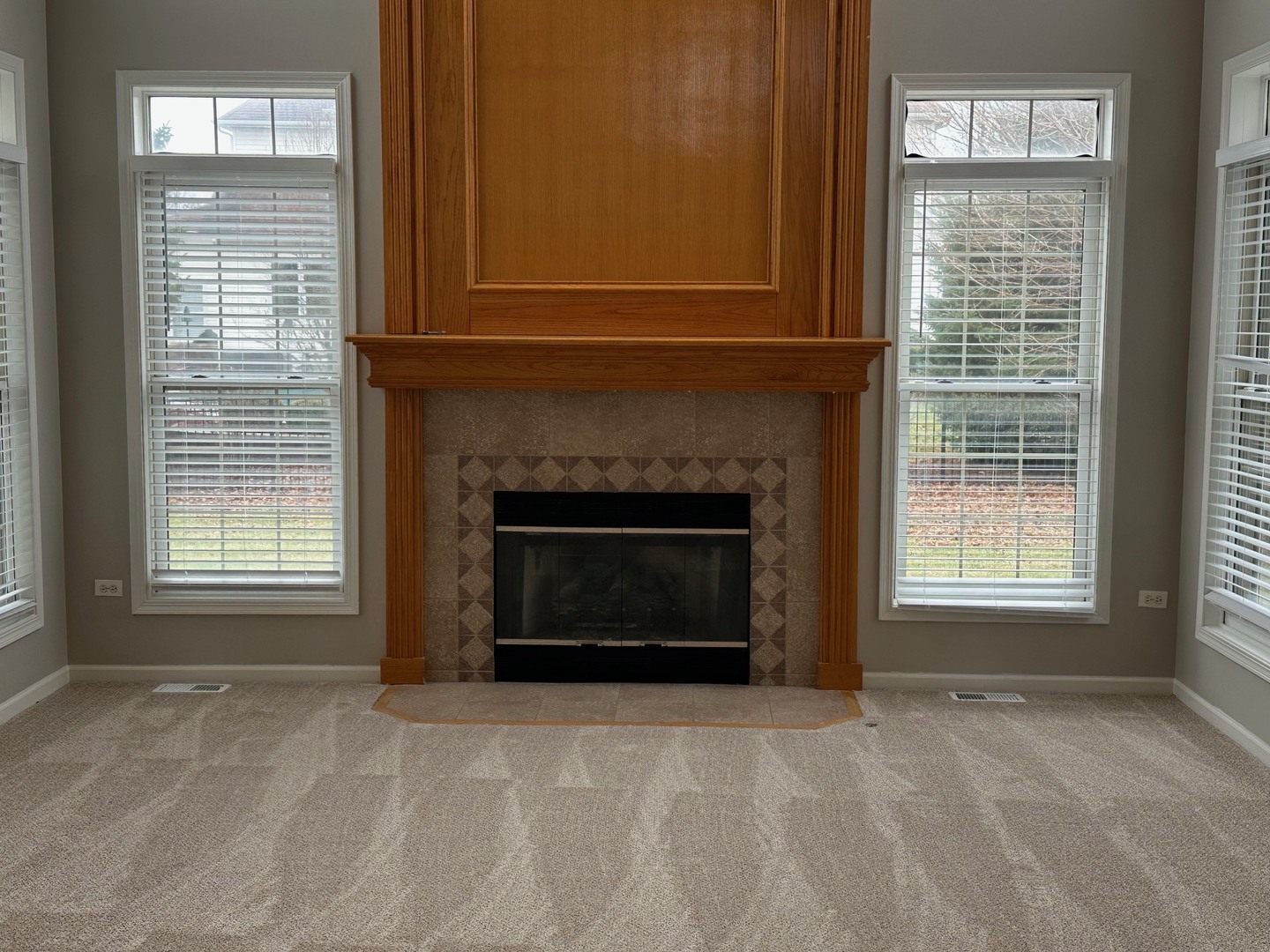 2512 Champion Road Naperville, IL 60564 - Photo 8 of 19