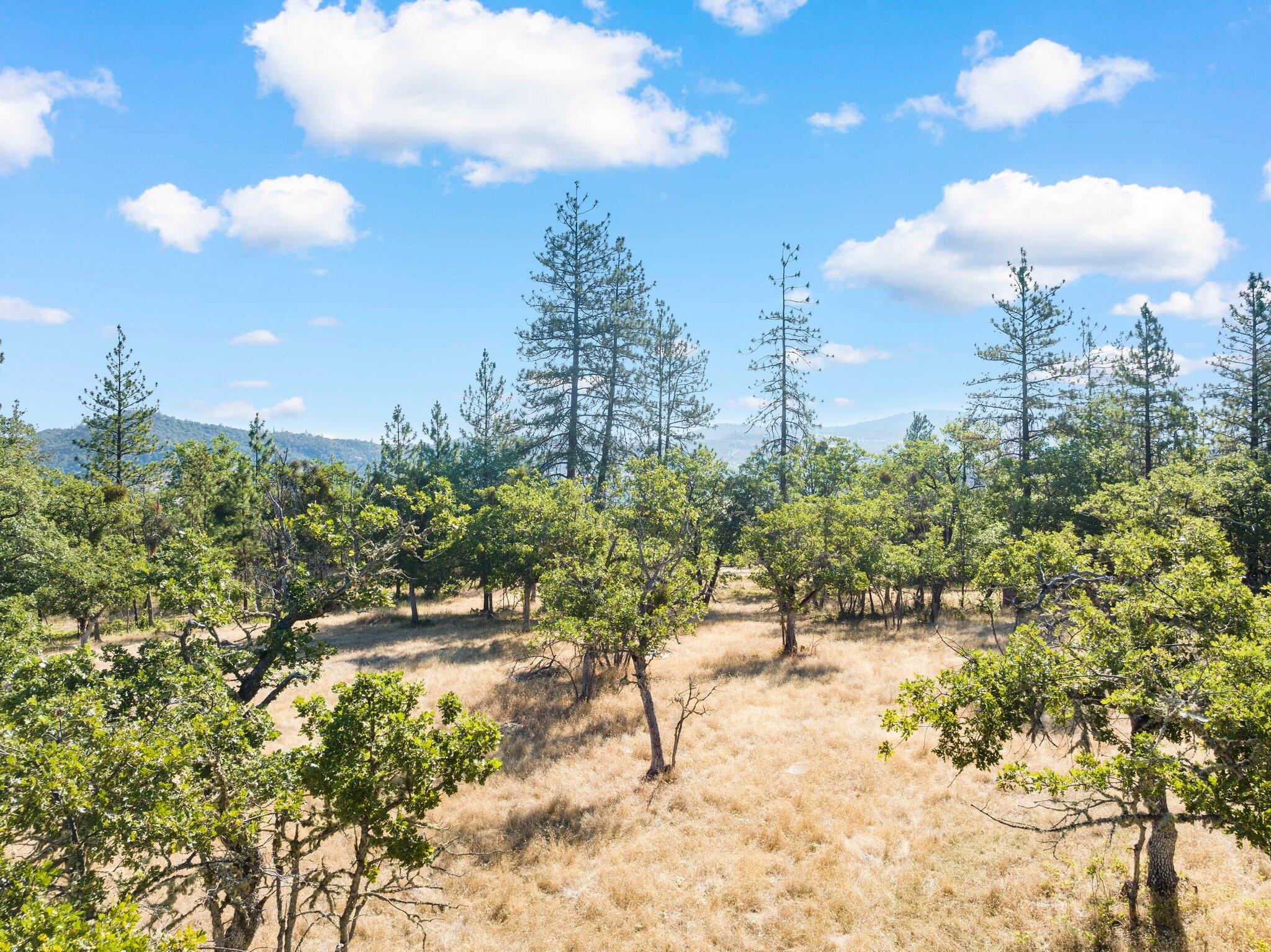 2301 Wren Ridge Drive Eagle Point, OR 97524 - Photo 9 of 12 1