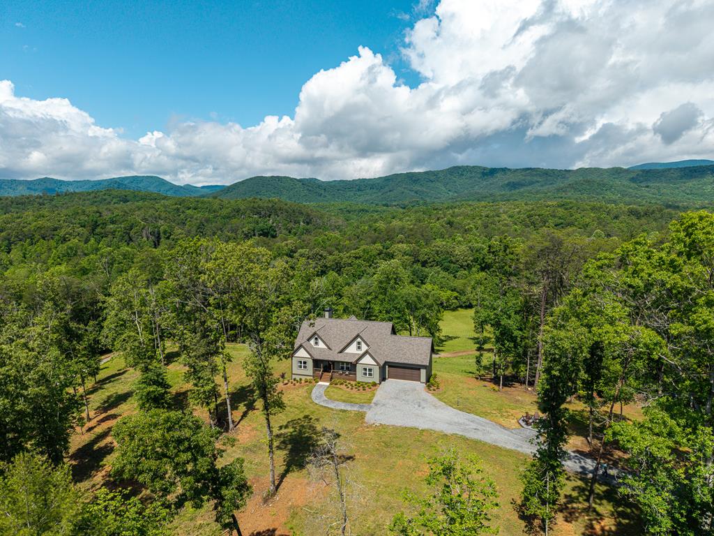 5664 Mobile Road Blue Ridge, GA 30513 - Photo 6 of 66