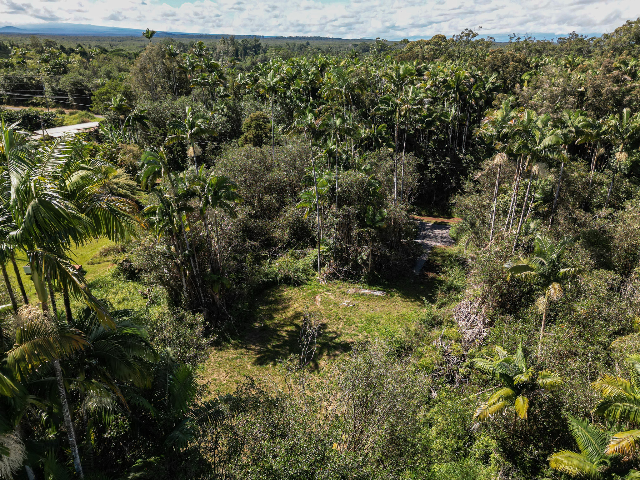 2 Volcano Road Mountain View, HI 96771 - Photo 16 of 18