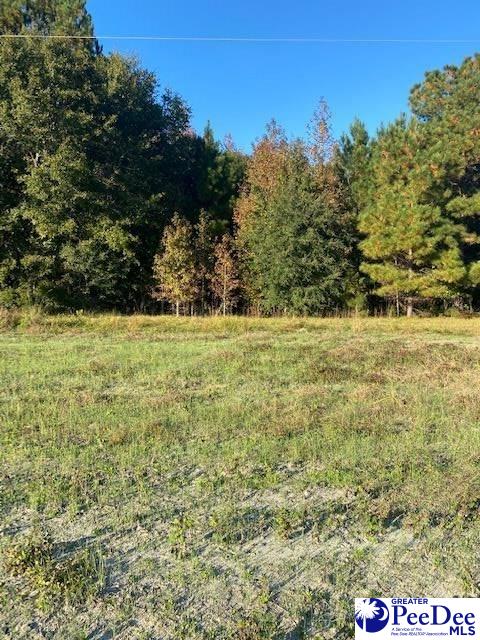 Tbd Dragon Road Salters, SC 29590 - Photo 1 of 1 Gallery Image 1