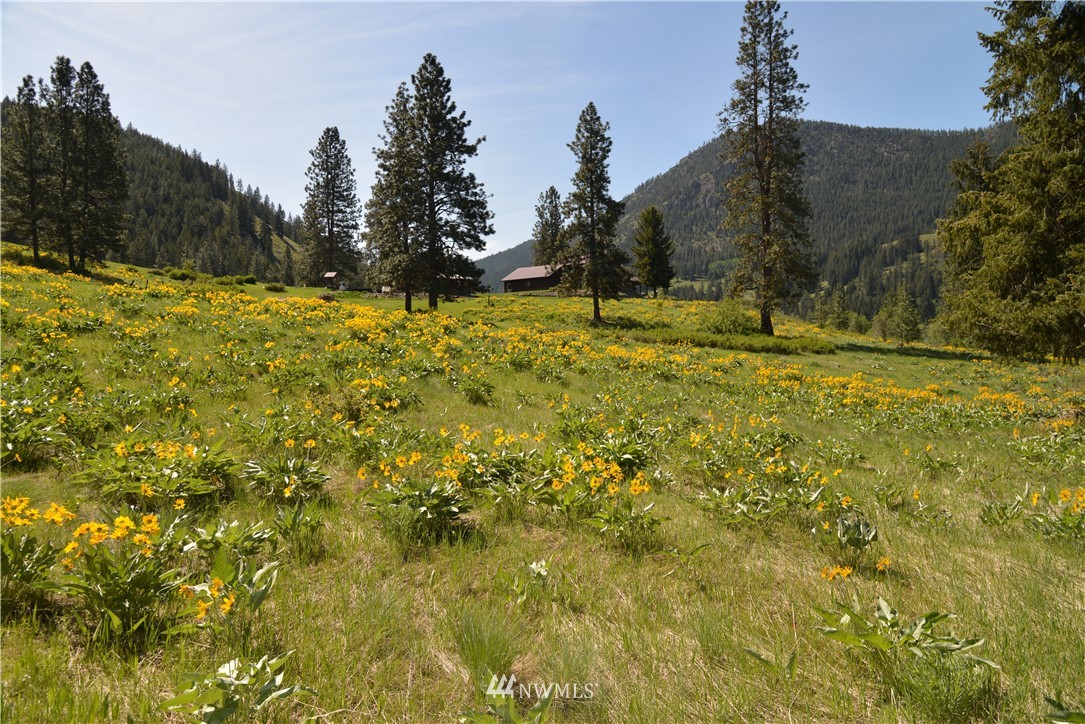 17 Malamute Road Twisp, WA 98856 - Photo 10 of 25 Gallery Image 10