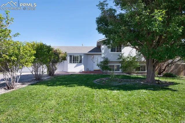 a front view of a house with a yard and tree