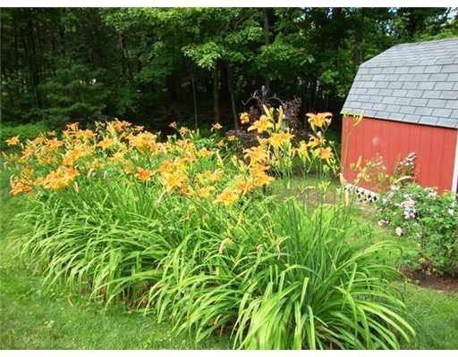 84 White House Crossing Road Topsham, ME 04086 - Photo 15 of 16 Yard/Garden.
