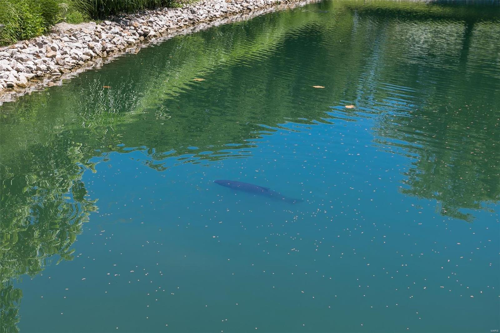 4085 Brighton Bunker Hill Road Brighton, IL 62012 - Photo 75 of 80