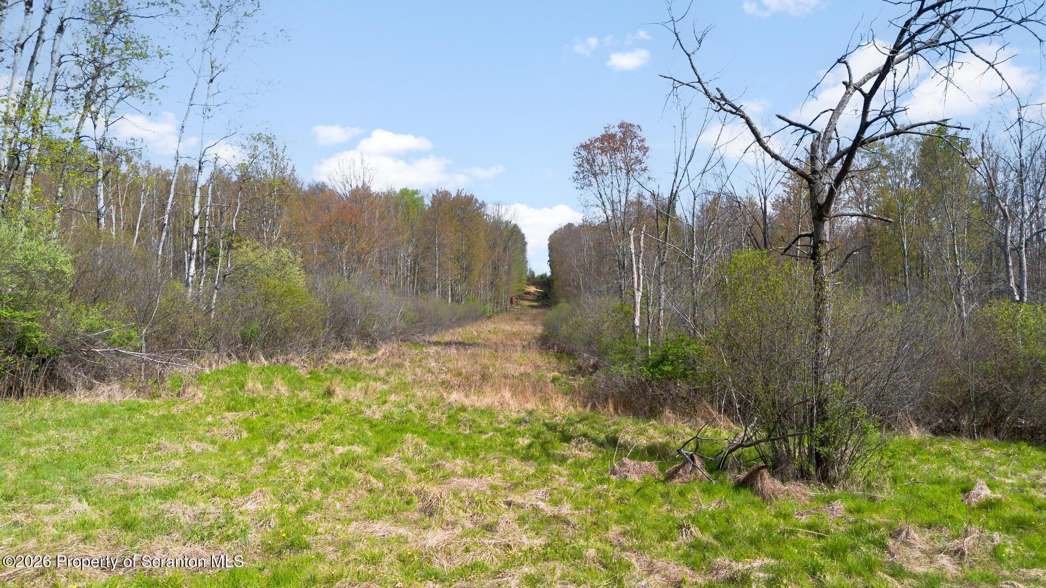 94 Orchard Road Dalton, PA 18414 - Photo 61 of 93 DJI_0360