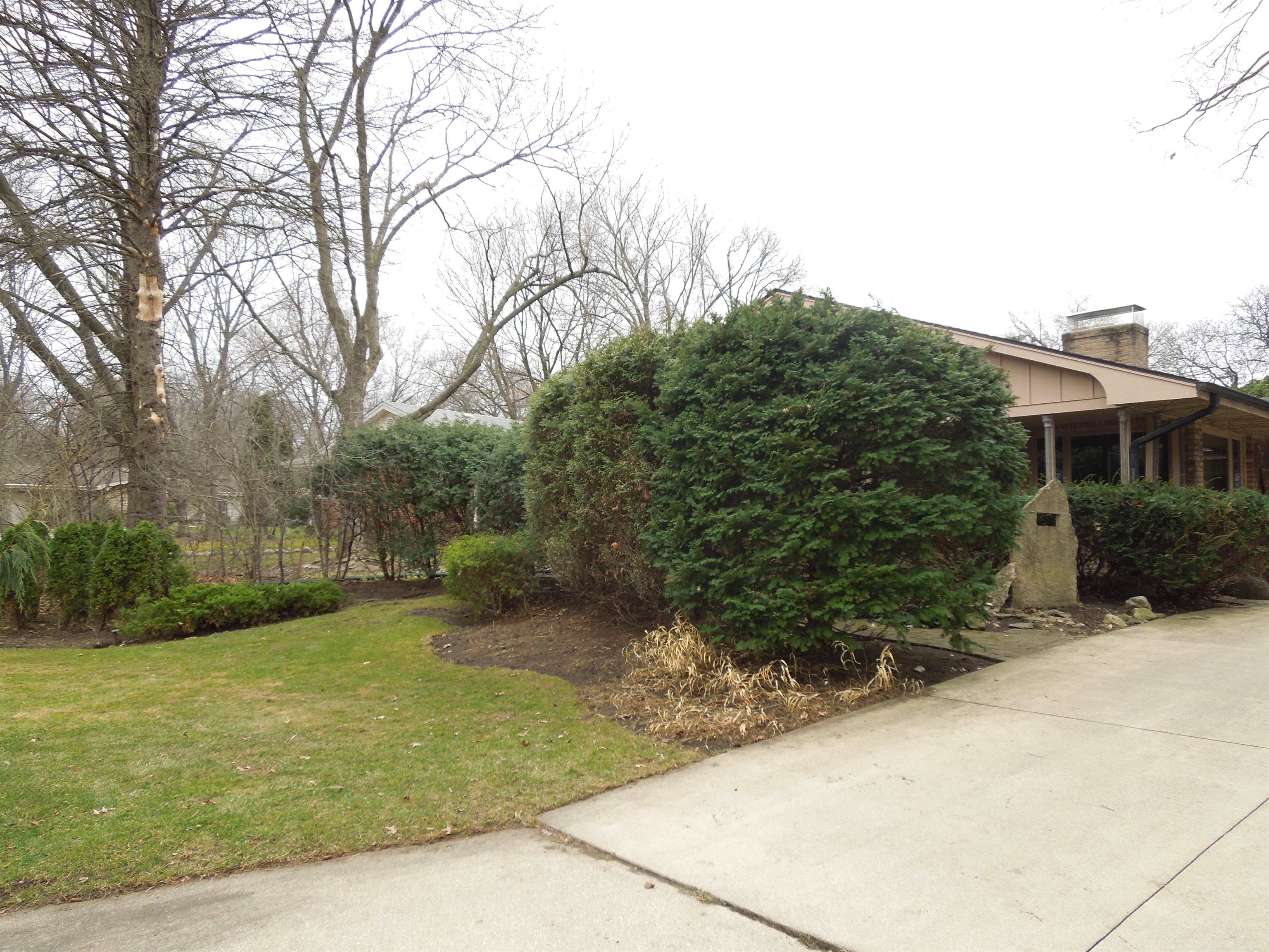 4721 Brookview Road Rockford, IL 61107 - Photo 3 of 26 a view of a backyard with potted plants and large trees