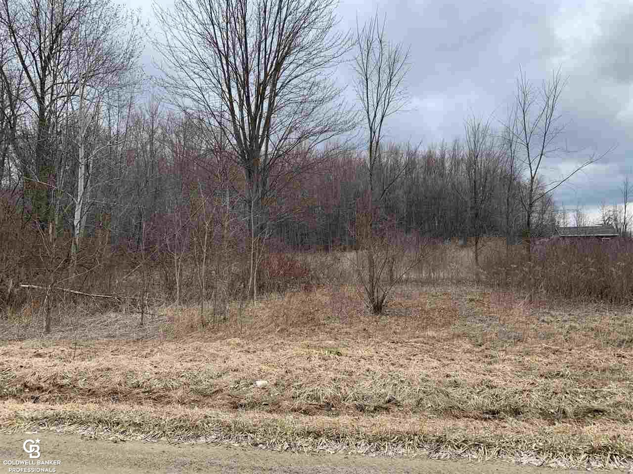 0 Oatman Road Avoca, MI 48006 - Photo 2 of 6