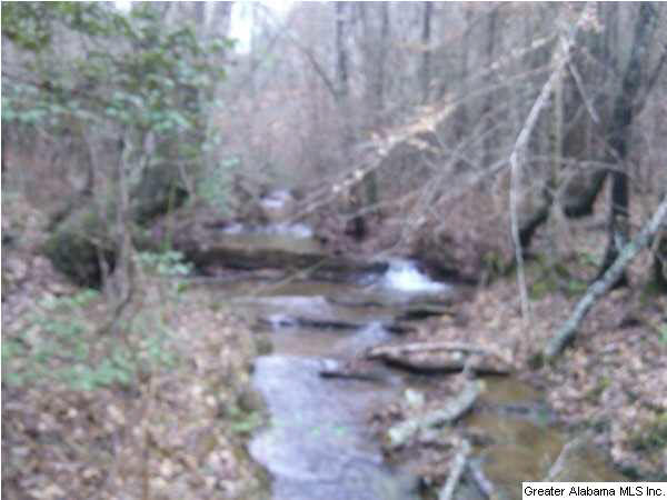 849 County Road, Unit 47 Wadley, AL 36276 - Photo 1 of 7