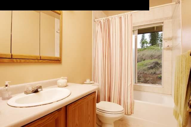 1689 Kaupakalua Road Haiku, HI 96708 - Photo 14 of 26 a bathroom with a sink vanity mirror and toilet