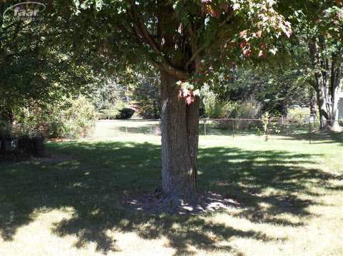 3260 West Carpenter Road Flint, MI 48504 - Photo 3 of 7 20375650-2.JPG