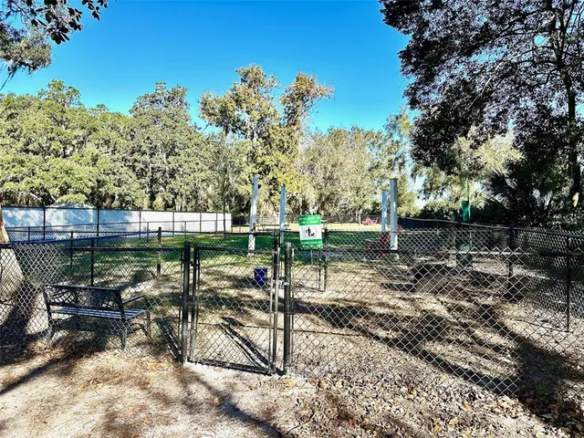 a view of a chairs and table in the backyard