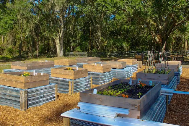 a view of a garden with an outdoor space