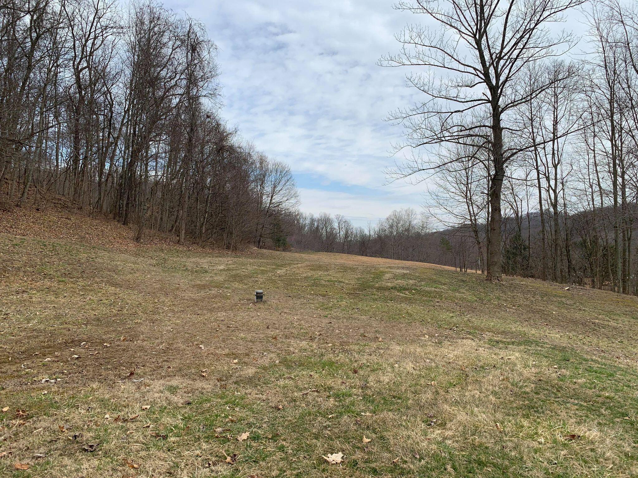 10461 Center Road Blue Rock, OH 43720 - Photo 13 of 16