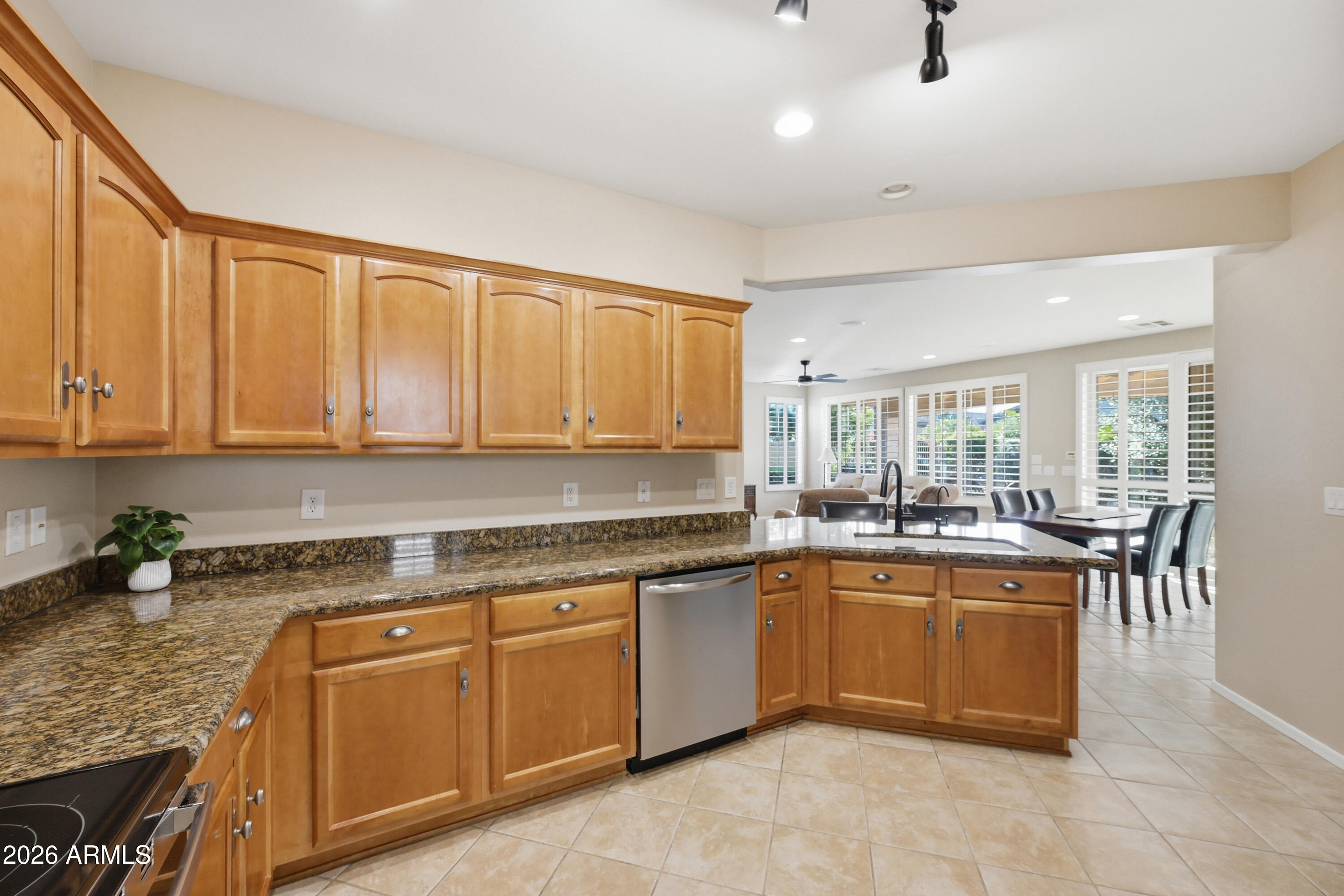 4127 East Narrowleaf Drive Gilbert, AZ 85298 - Photo 9 of 32 15_020_dsc_3669