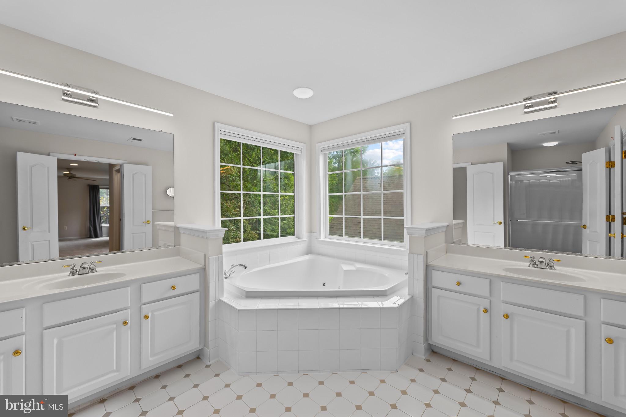42920 Cattail Meadows Place Broadlands, VA 20148 - Photo 29 of 55 a bathroom with a double vanity sink a large mirror and a bathtub