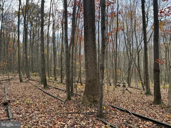 $209,100 | 1 65 /- Acres Coles Valley Road, Robertsdale, PA 16674