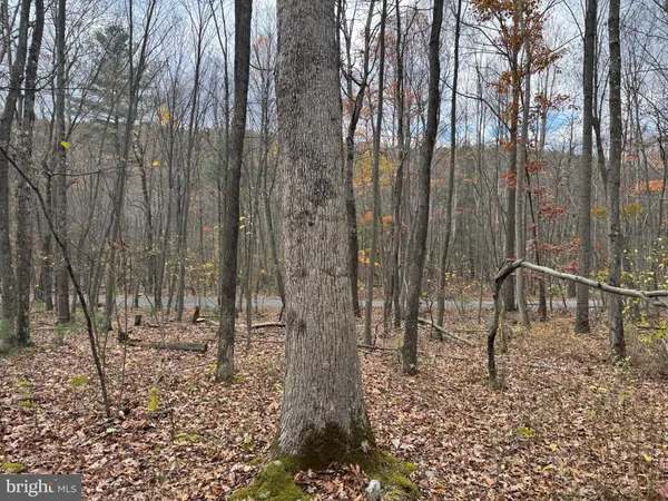 $209,100 | 1 65 /- Acres Coles Valley Road, Robertsdale, PA 16674