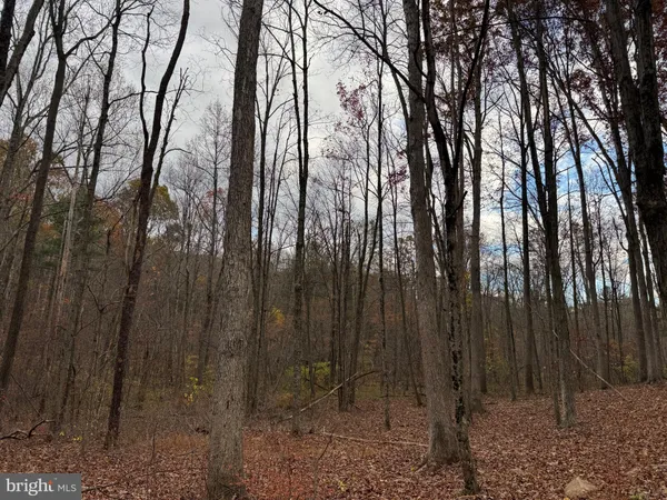 $209,100 | 1 65 /- Acres Coles Valley Road, Robertsdale, PA 16674