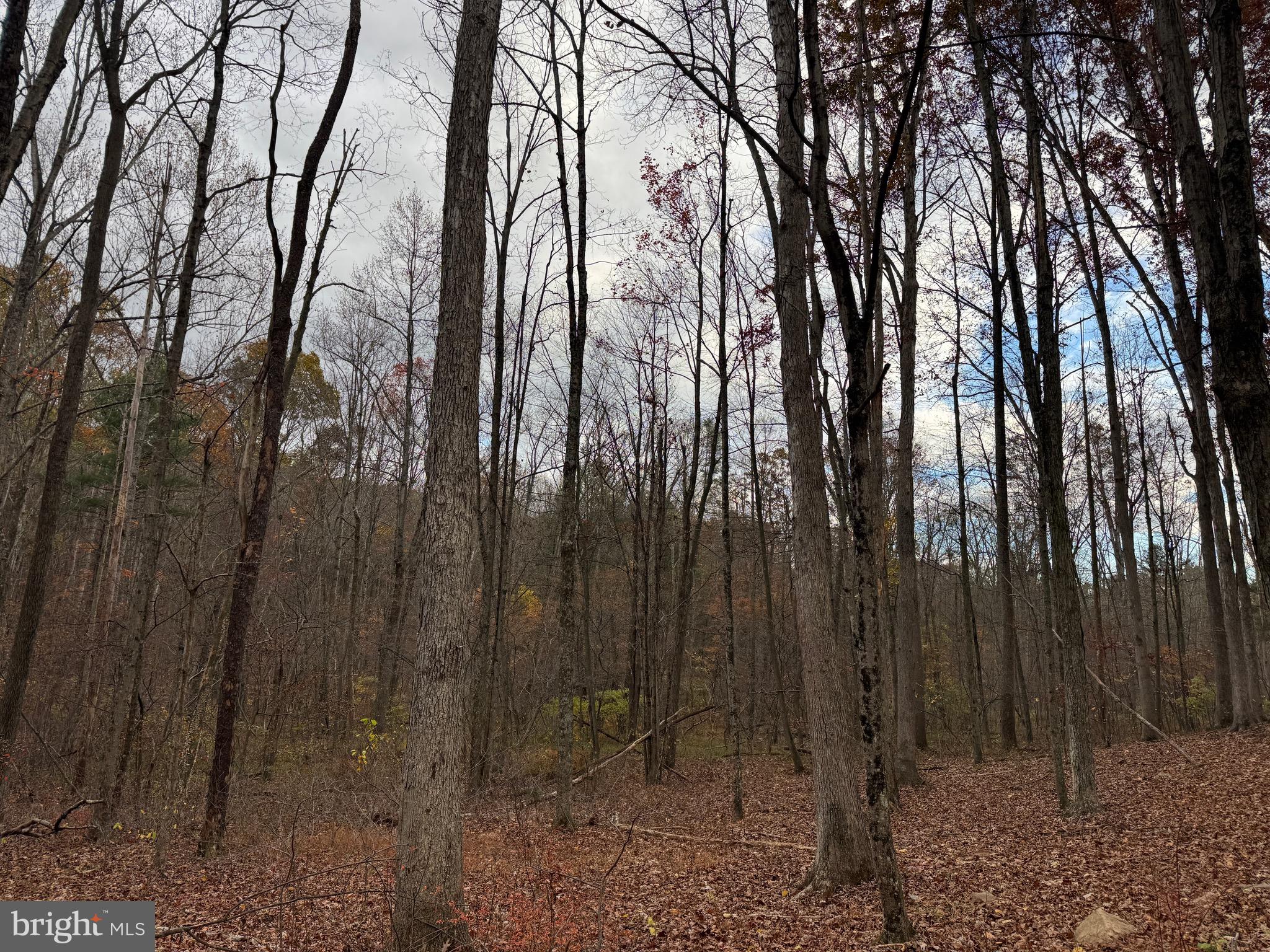 1 65 /- Acres Coles Valley Road Robertsdale, PA 16674 - Photo 15 of 15