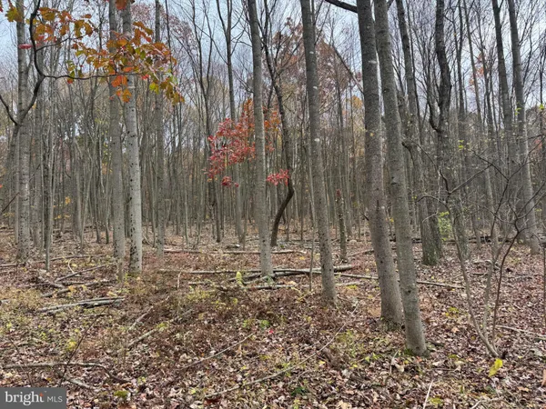 a view of a backyard of the house