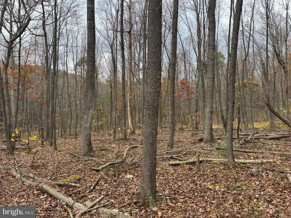 a view of outdoor space with chairs