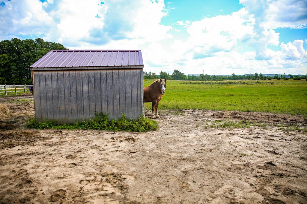 2116 County Rte 5 Brushton, NY 12916 - Photo 62 of 73 Gallery Image 62